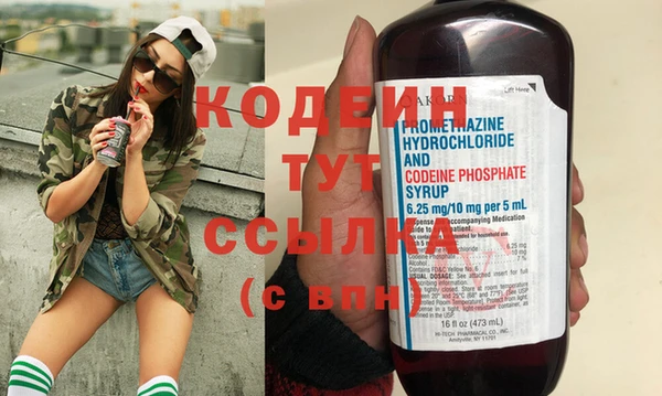 дмт Абаза
