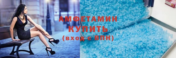 мет Алексин